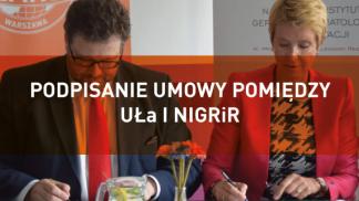 ula nigrir news